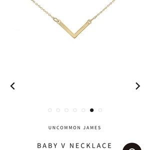 Uncommon James Necklace- Great Condition 💖